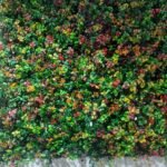 تنسيق حدائق خميس مشيط 0559460943 14 تنظيف النخيل .تكريب وتلقيح وتسميد ومعالجته من السوسه الحمراء ..زراعه جميع الاشجار والورود ..الموسميه والمستديمه