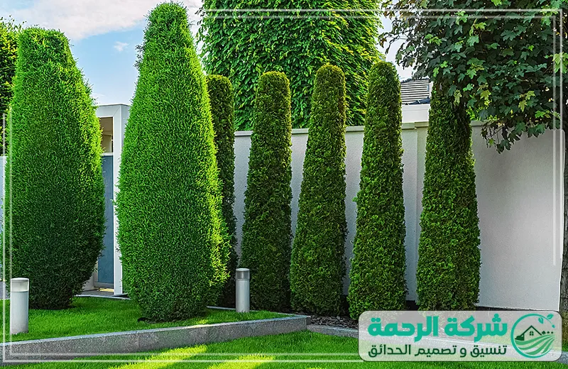 تنسيق حدائق عرعر