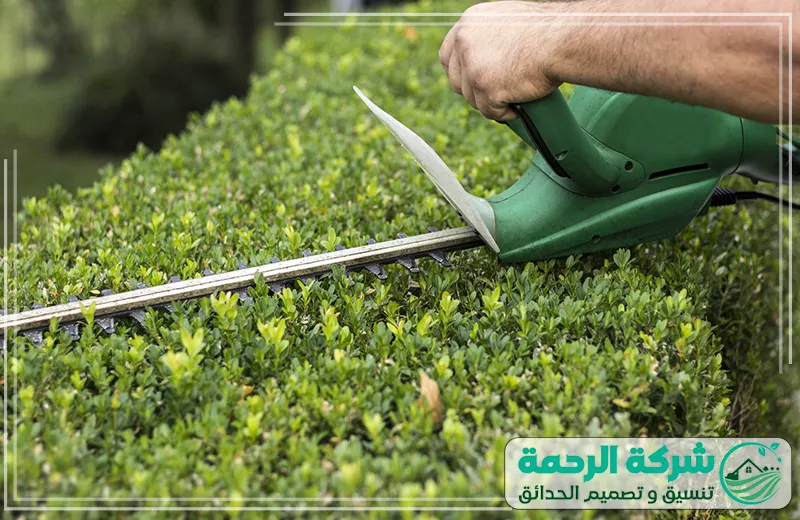 تركيب عشب صناعي بعرعر 0559460943 الرحمة يعتني الفني بزراعة النباتات وتقليم الأشجار بشكل دقيق، ليحصل على حديقة جذابة ومريحة.