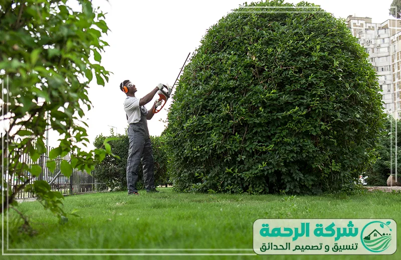 تنسيق حدائق منزلية بعرعر 0559460943 الرحمة يقوم الفني بتنسيق الحدائق بعناية فائقة، ليضمن جمالاً متناغماً ومساحات خضراء منظمة.