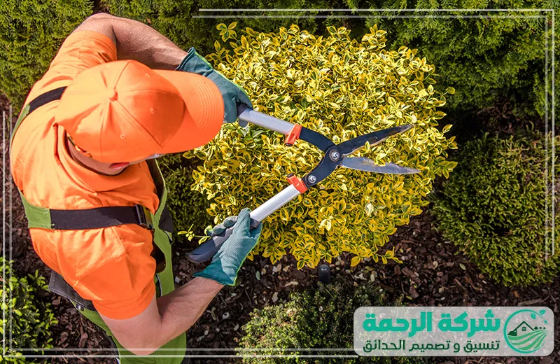 شركة تنسيق حدائق بيشة الجنوب خدمات العناية بالحدائق 0559460943 شركة الرحمة متخصص في تنسيق حدائق بيشة الجنوب يقوم بقص وتشكيل النباتات بعناية، مما يضمن شكلًا جماليًا مميزًا وحدائق أكثر جمالاً.