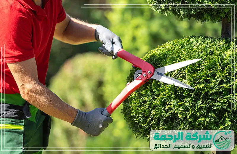 عشب جداري بعرعر 0559460943 الرحمة يهتم الفني بتنسيق الزهور والأعشاب بطريقة متقنة، ليضفي جواً من الحيوية والجمال.