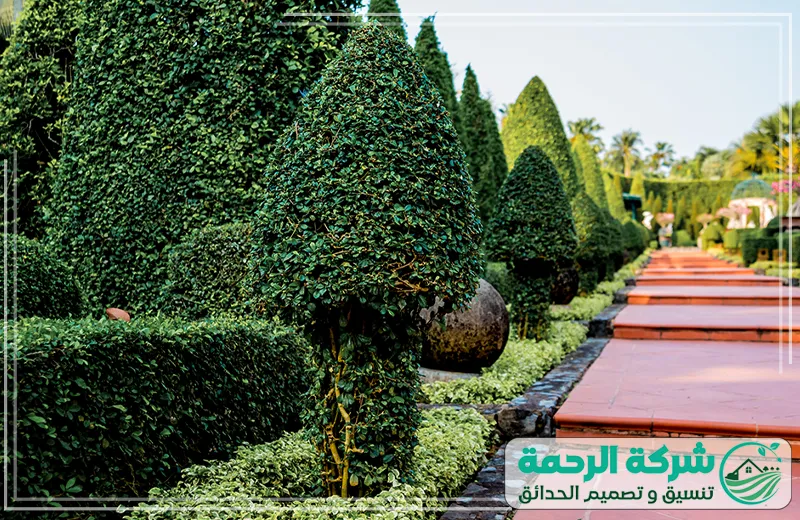 تصميم نوافير حدائق بعرعر 0559460943 الرحمة يعمل الفني على ترتيب الممرات والنوافير بشكل متناغم، ليحقق توازناً جميلاً في الحديقة.