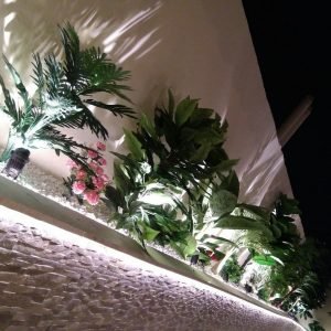 شركة تنسيق حدائق ابها 4 ارقام منسق حدائق ابها