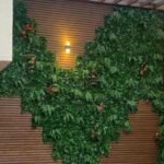 حدائق جميله تحتوي علي عشب ومظلات وشلالات