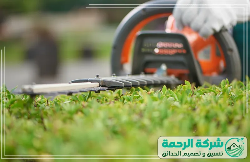 تنسيق حدائق تبوك