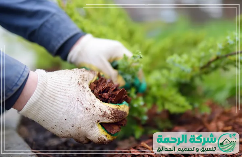 تنسيق حدائق تبوك 0559460943 الرحمة يقوم فني تنسيق حدائق بترتيب النباتات والعشب بشكل منسق يمنح الحديقة مظهرًا جماليًا مريحًا للنظر.