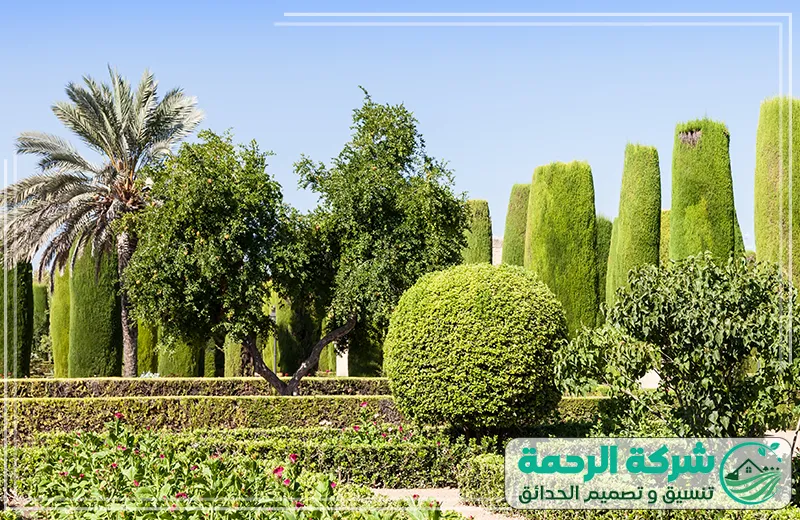 شركة تصميم حدائق منزلية جازان تصميم حدائق أنيقة 0559460943 شركة الرحمة شركة تنسيق حدائق منزلية جازان تصميم حدائق مميز باستخدام الأشجار المقطوعة بأشكال هندسية جميلة.