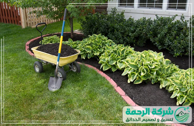 زراعة وتنسيق حدائق بتبوك 0559460943 الرحمة يعتمد فني تنسيق حدائق على خبرته في ترتيب الأشجار والنباتات لإظهار الحديقة بمظهر جذاب ومنظم.