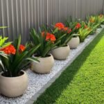 تنسيق حدائق الدمام 0559460943 80 شركة تنسيق حدائق 130