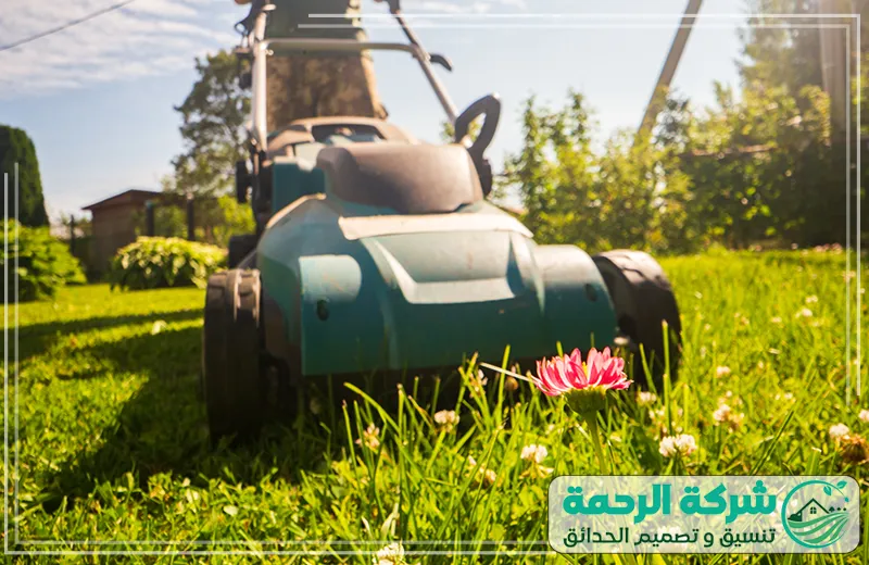 تنسيق حدائق المدينة المنورة العناية بالعشب والنباتات 0559460943 شركة الرحمة عامل يقوم باستخدام آلة جز العشب في حديقة منسقة، حيث يعتني بالعشب والنباتات في تنسيق حدائق المدينة المنورة