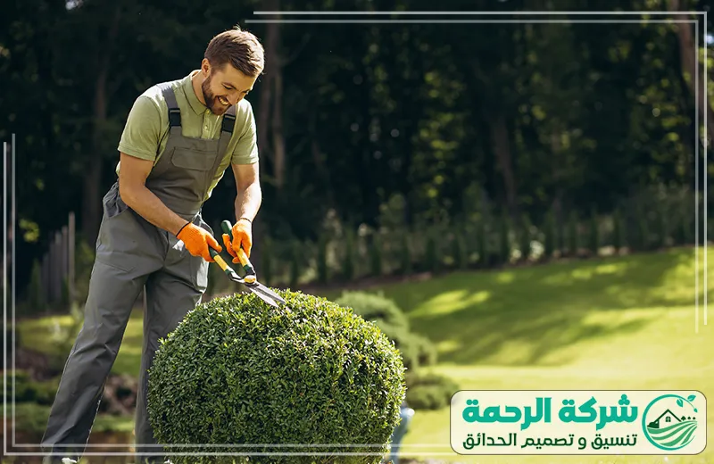 تنسيق حدائق الطائف