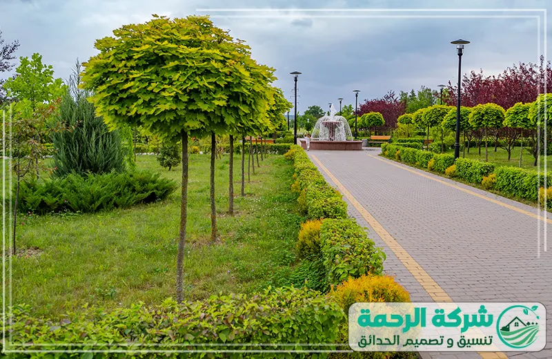 تنسيق حدائق المدينة المنورة تصميم ممرات وخضرة منظمة 0559460943 شركة الرحمة مسار مشاة مع أشجار متماثلة وزهور وأحواض مائية في حديقة منظمة مع ممرات معبدة في تنسيق حدائق المدينة المنورة.