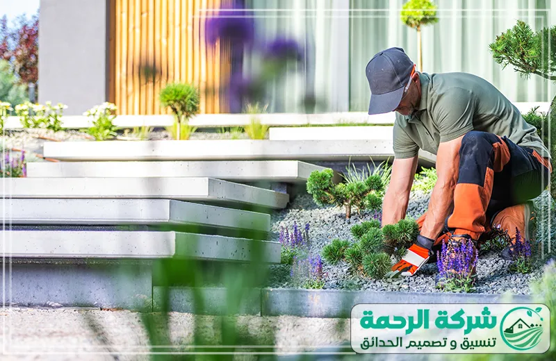 تنسيق حدائق المدينة المنورة تنظيف وتنظيم الحدائق 0559460943 شركة الرحمة عامل يقوم بتنظيف وتنظيم النباتات في حديقة باستخدام معدات التنسيق في مشروع تنسيق حدائق المدينة المنورة.