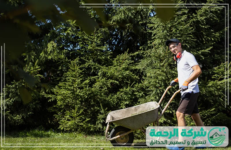شركة تنسيق حدائق الطائف 0559460943 شركة الرحمة عامل يعمل على تنسيق حدائق الطائف باستخدام عربة يدوية لنقل التربة في حديقة منزلية كبيرة، مع خلفية من الأشجار الكثيفة.
