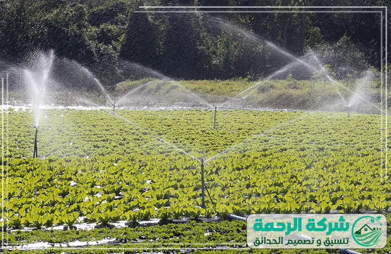 تركيب رشاشات ري للحدائق بالمدينة المنورة 0559460943 شركة الرحمة رشاشات الري المستخدمة في تركيب شبكات ري للحدائق بالمدينة المنورة لتتوزيع المياه بالتساوي على النباتات، مما يساهم في الحفاظ على جودة التربة