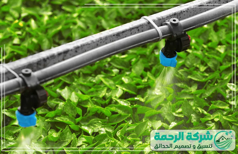 أنظمة الري بالرش للحدائق توزيع متوازن للمياه بفعالية 0559460943 شركة الرحمة نظام الري بالرش من شركة تركيب شبكات ري بالمدينة المنورة يوزع المياه على النباتات بشكل متساوٍ باستخدام رشاشات متطورة.