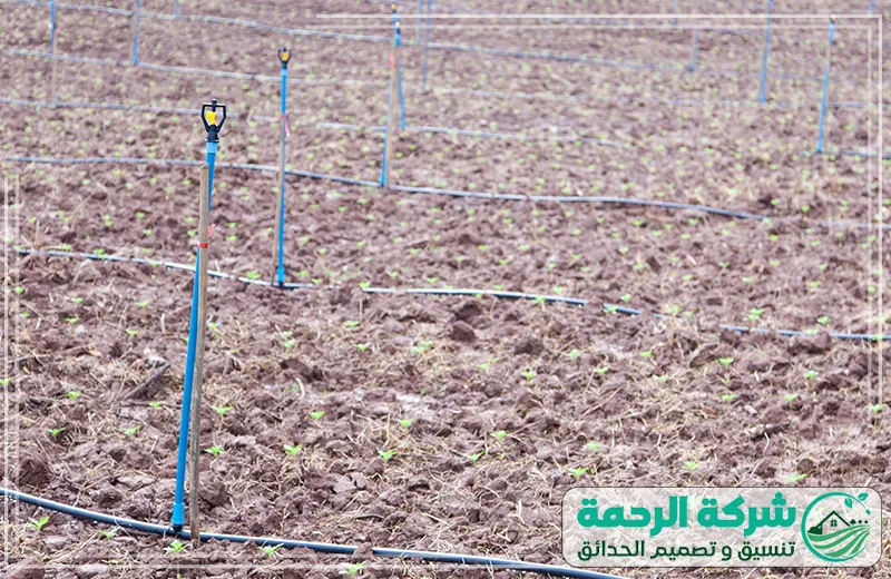 تركيب شبكات ري بالرش للحدائق بالمدينة المنورة 0559460943 شركة الرحمة نظام الري بالرش المستخدم لتوزيع المياه بشكل متساوٍ على المساحات الزراعية من شركة تركيب شبكات ري بالمدينة المنورة