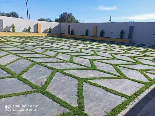 عشب طبيعي 102