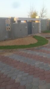 عشب طبيعي 18