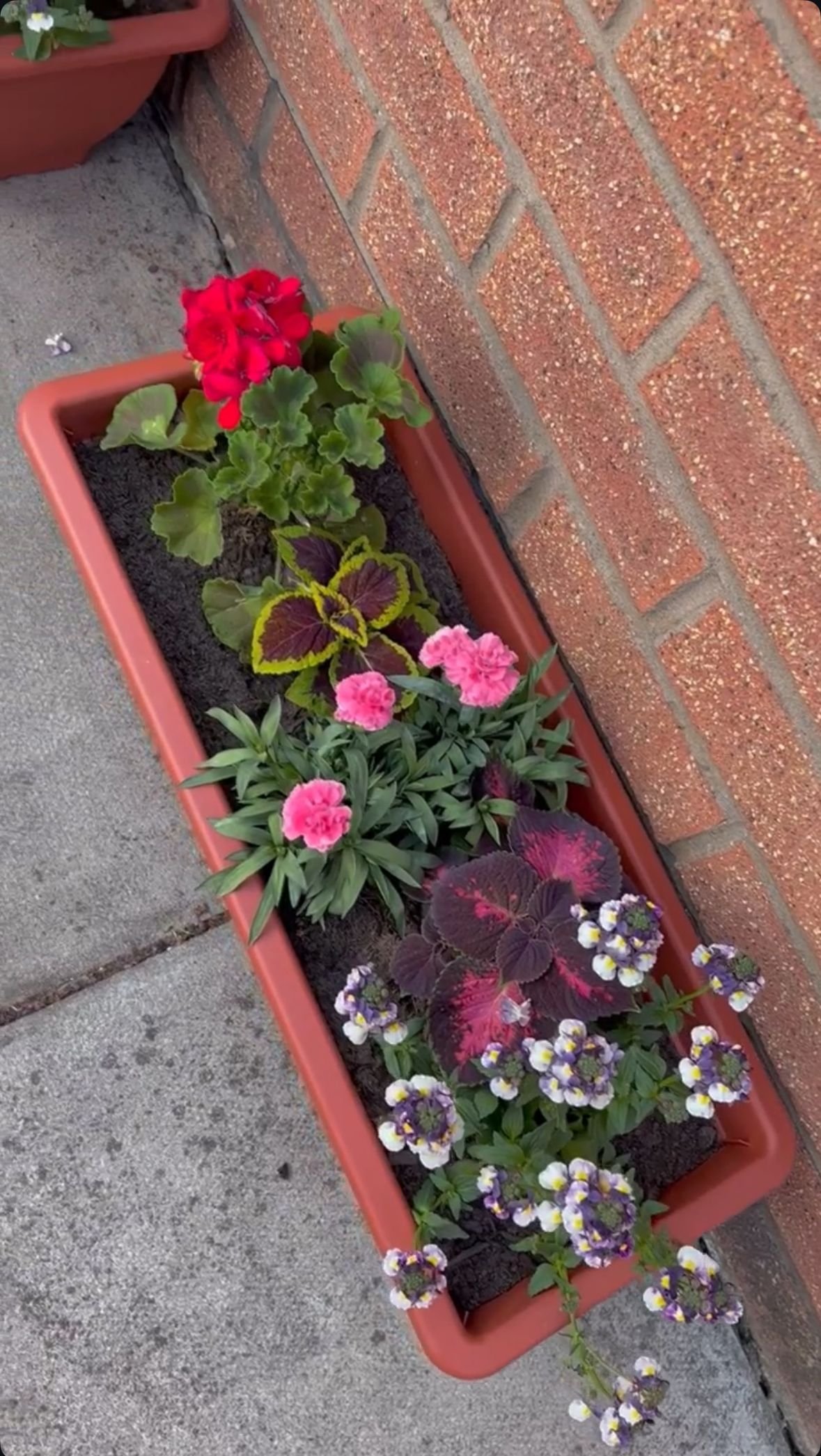 احواض زرع طبيعي 1 احواض زرع طبيعي 1