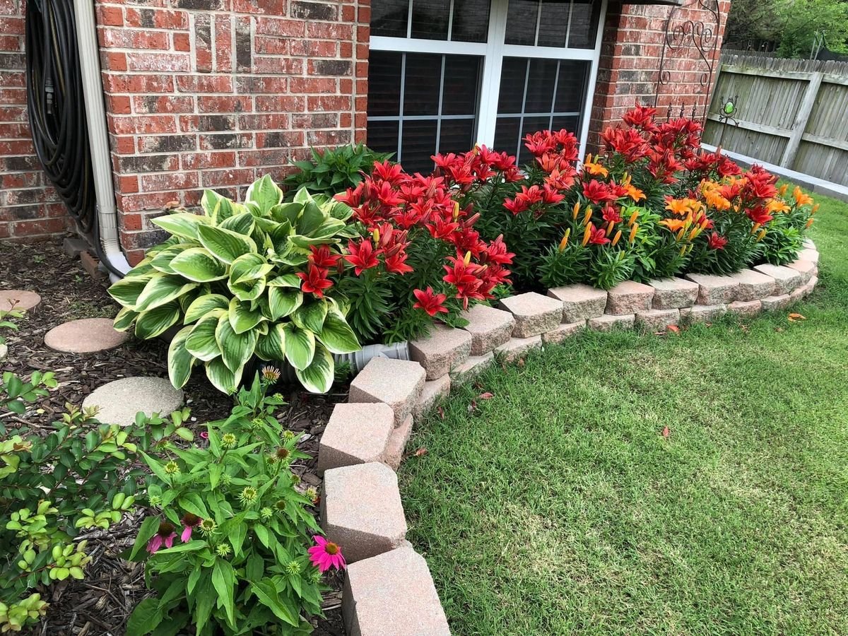 احواض زرع طبيعي 5 احواض زرع طبيعي4