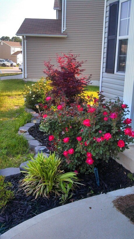 احواض زرع طبيعي 7 احواض زرع طبيعي6