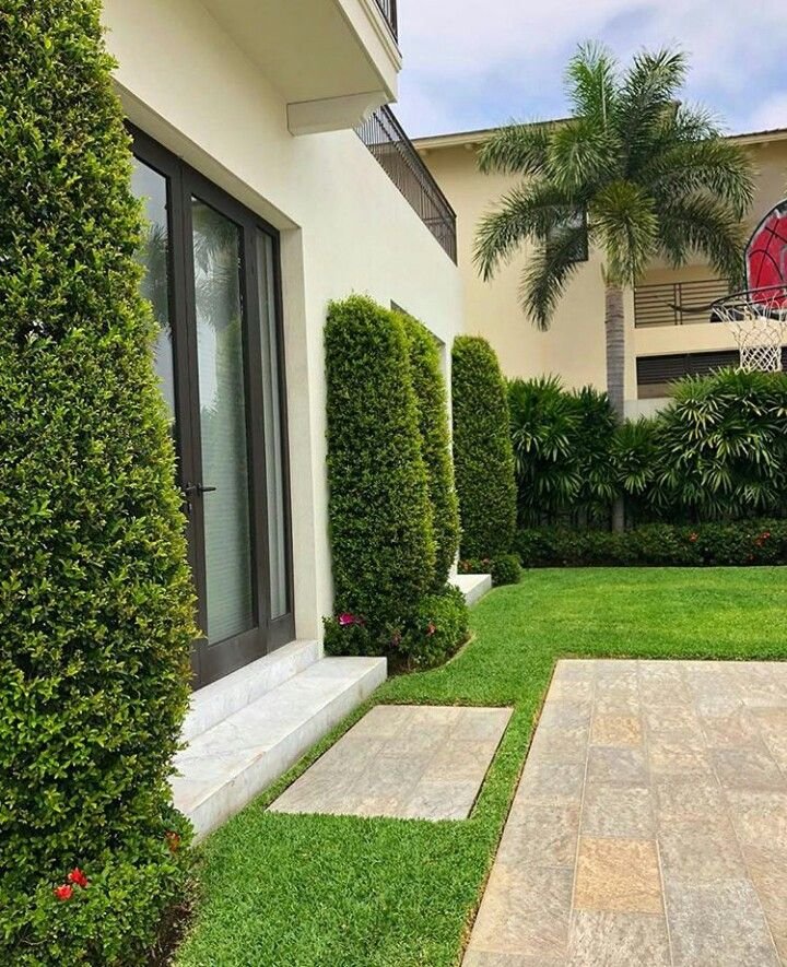 قص اشجار بجدة 3 عامل قص شجر بجدة