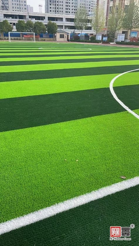 افضل انواعب عشب ملاعب جدة