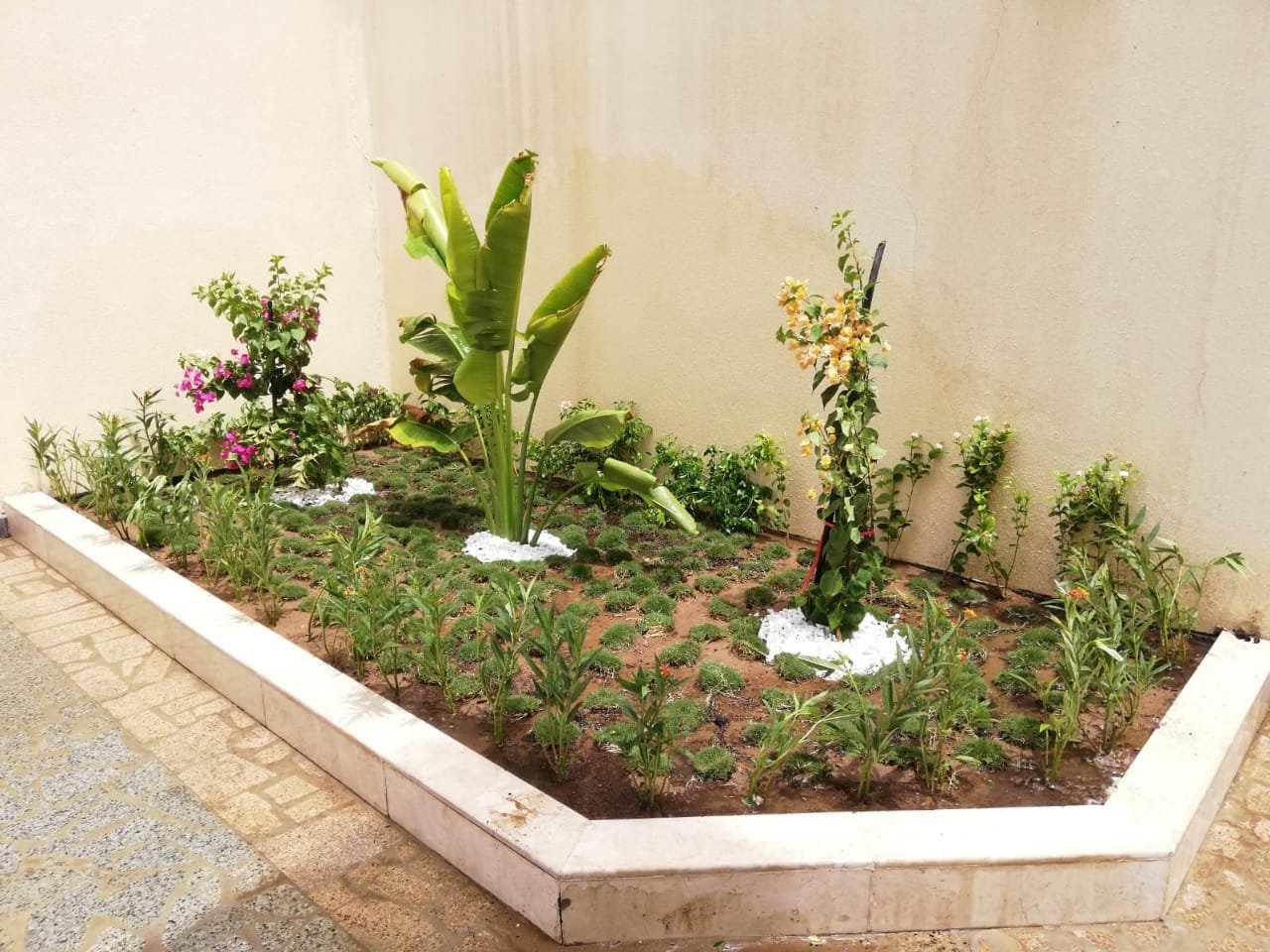 تصميم صرف احواض الزرع 2 تصميم صرف احواض الزرع2