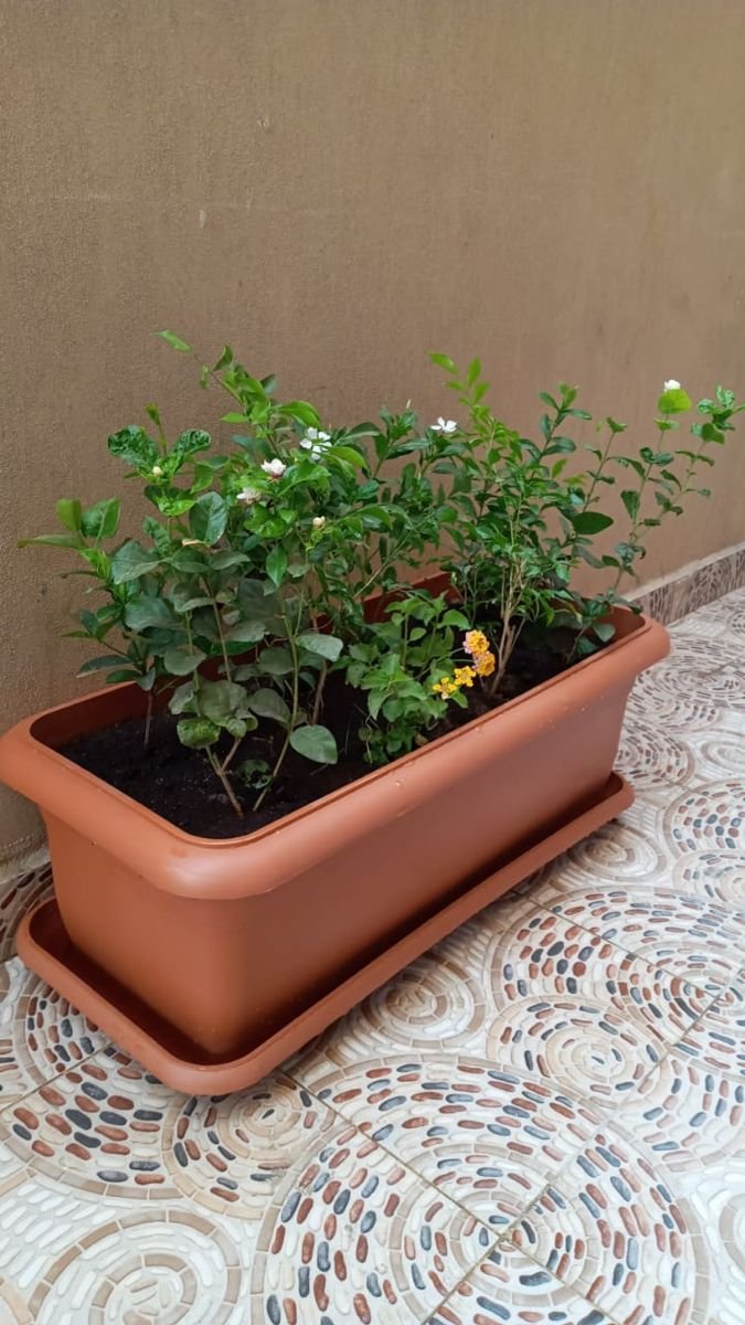 تصميم احواض زراعية بجدة 19 مراكن زراعية بجدة