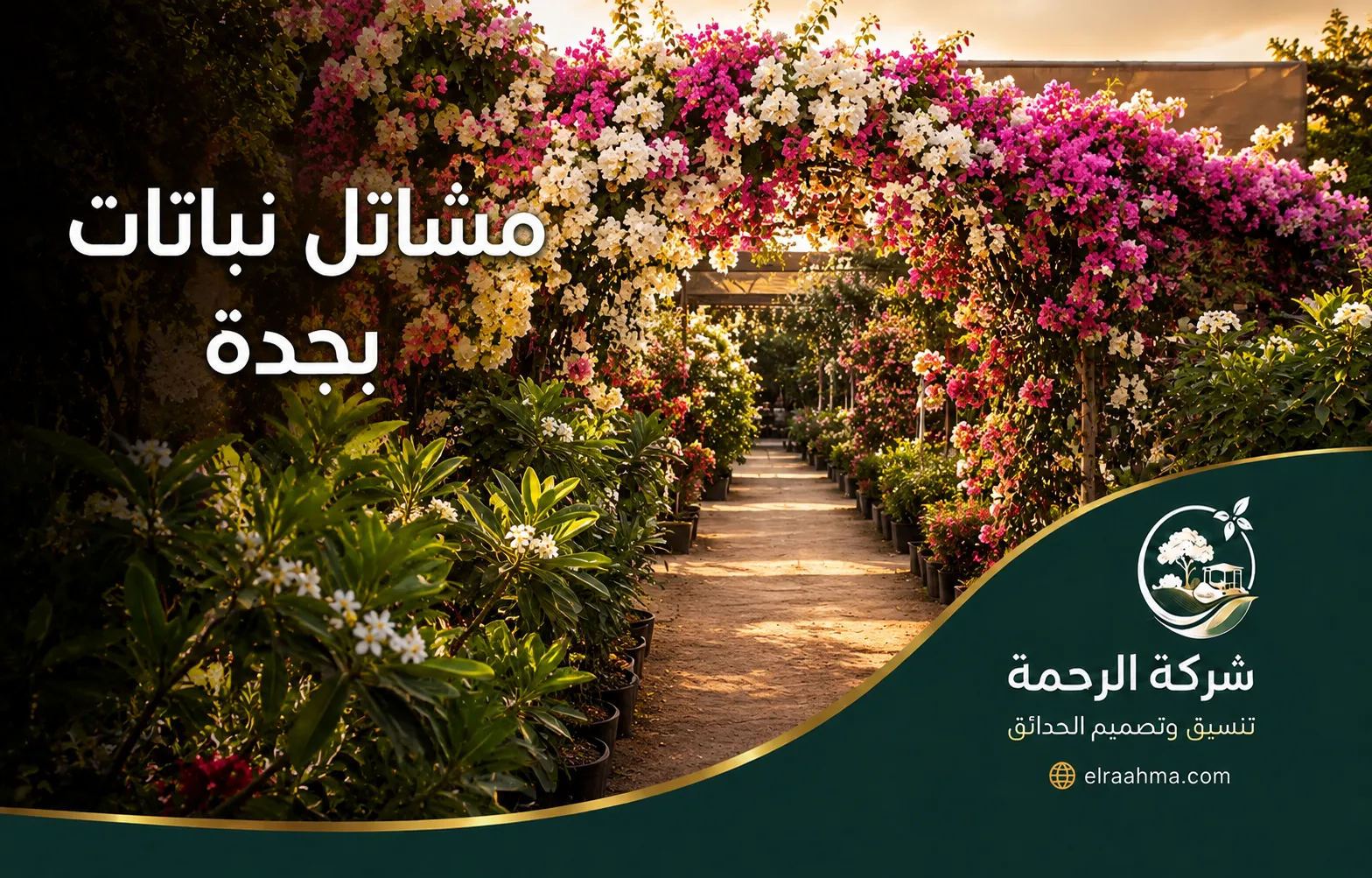مشاتل نباتات بجدة | شركة الرحمة ممر داخل مشتل نباتات مزين بأقواس مغطاة بالزهور ونباتات متنوعة في جدة