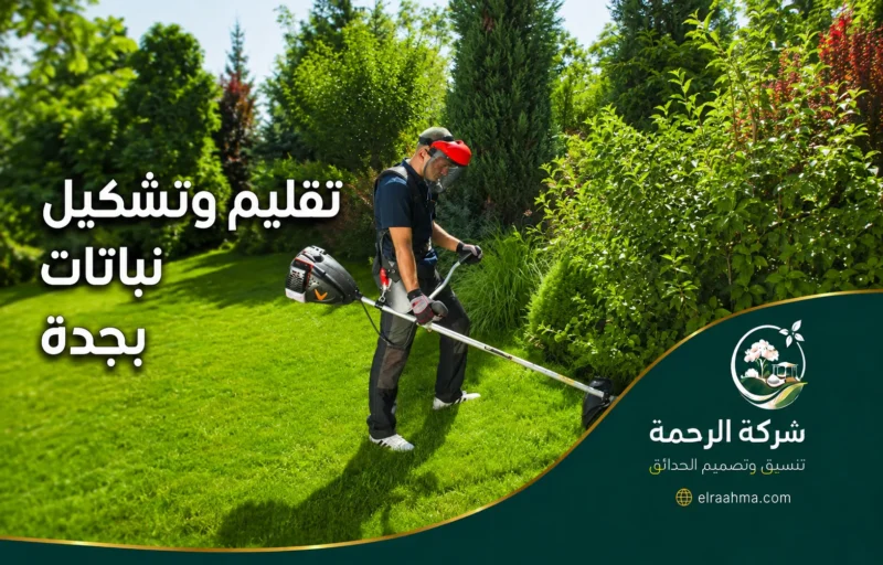 تقليم وتشكيل نباتات بجدة - شركة الرحمة فني ينفذ تقليم وتشكيل نباتات بجدة باستخدام معدات قص للحفاظ على مظهر المساحات الخضراء