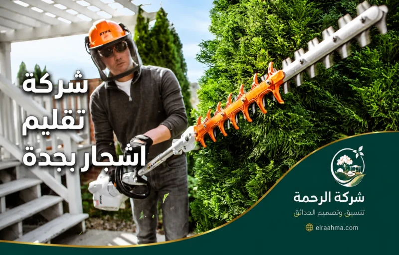 شركة تقليم أشجار بجدة - شركة الرحمة عامل يقص سياجًا نباتيًا كثيفًا بجدة باستخدام ماكينة تشذيب لتنسيق الشجيرات حول المنزل
