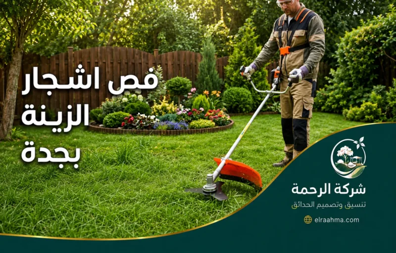 قص أشجار الزينة بجدة - شركة الرحمة فني يقص أشجار الزينة بجدة داخل حديقة منزلية باستخدام معدات مخصصة للعناية بالنباتات
