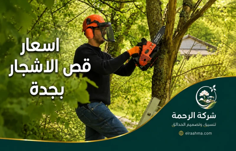 أسعار قص الأشجار بجدة - شركة الرحمة فني يقص فرع شجرة بجدة باستخدام منشار كهربائي ومعدات حماية أثناء تنفيذ أعمال التقليم