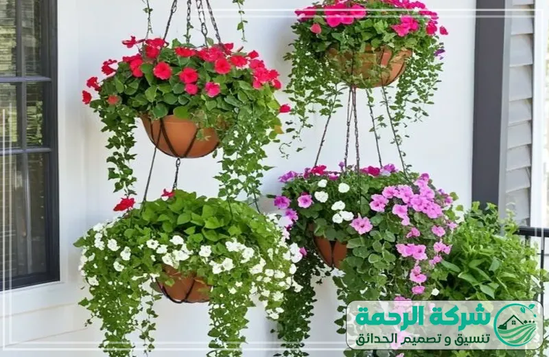 مشاتل ورد جدة 0559460943 الرحمة المشتل يضمن لك الحصول على أشجار وورود مزروعة بأفضل الأساليب لضمان جمال يدوم.