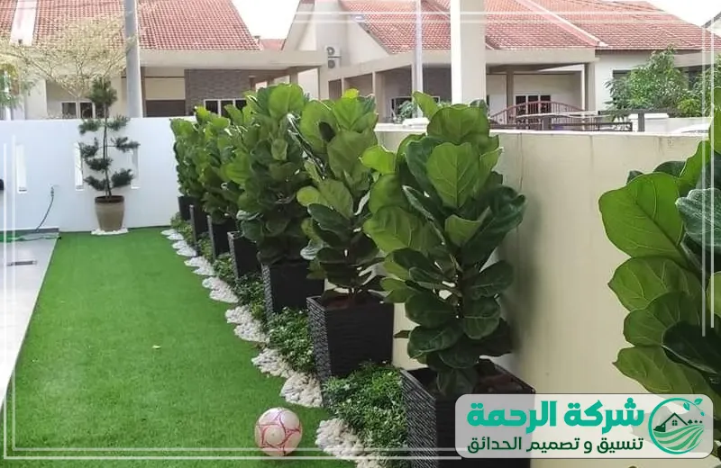 أحواض زرع بجدة 0559460943 شركة الرحمة صورة لحوش تم تنسيقه بأحواض الزرع الطبيعية