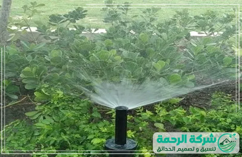 تصميم الشبكات الري الحديثة 0559460943 الرحمة الحديقة مزودة بتصميم شبكات ري حديثة يضمن توزيع المياه بكفاءة عالية للحفاظ على جمال النباتات والأشجار.