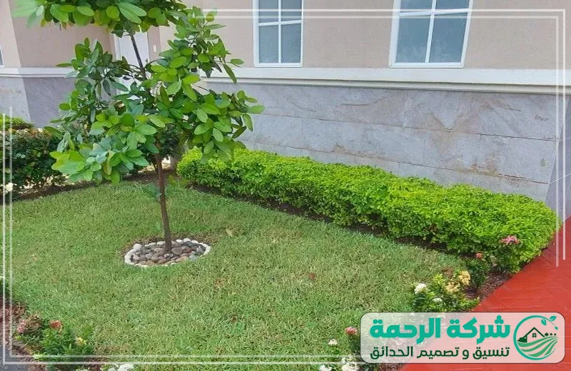 زراعة أشجار بجدة 0559460943 الرحمة البيت بتنظيم بملاية طبيعية وزرع أشجار مختارة بأعلى جودة لإضفاء لمسة جمالية."