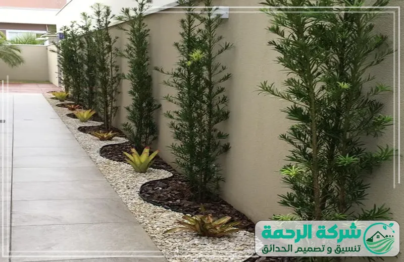 زراعة ورود بجدة 0559460943 الرحمة تقدم شركة الرحمة حديقة منزلية متينة ومزينة بأفضل جودة لتجربة مثالية وجمالية رائعة.