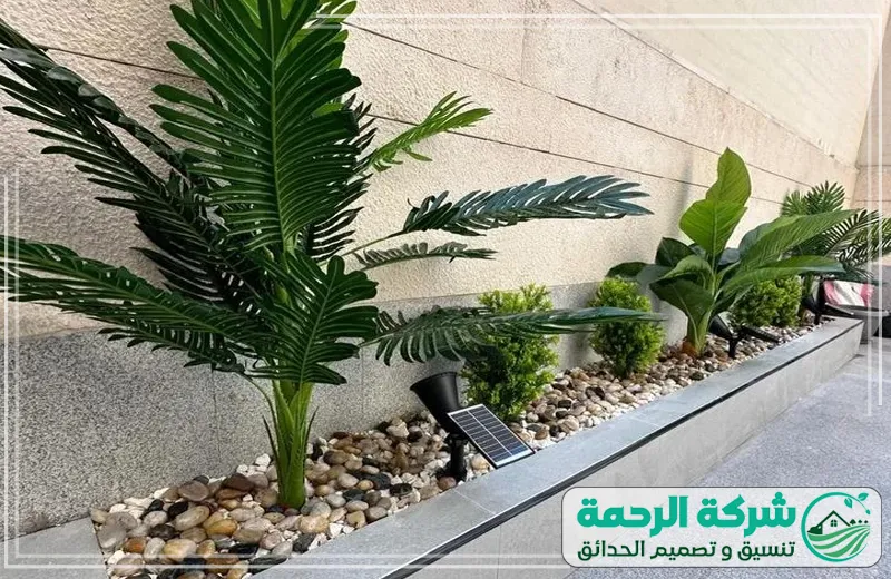 شركات زراعة حدائق بجدة 0559460943 الرحمة توفر شركة الرحمة حديقة منزلية مليئة بالأشجار الديكورية بأفضل جودة وجمال متفرد.