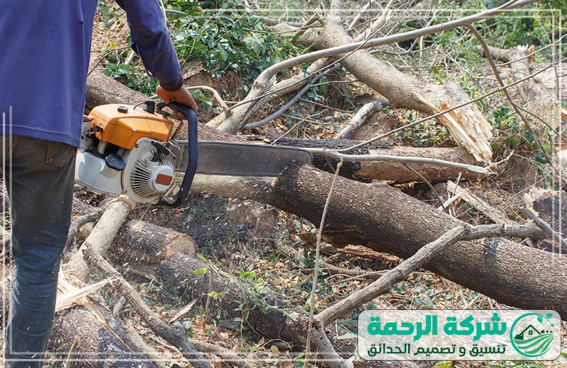 قص اشجار بمكة