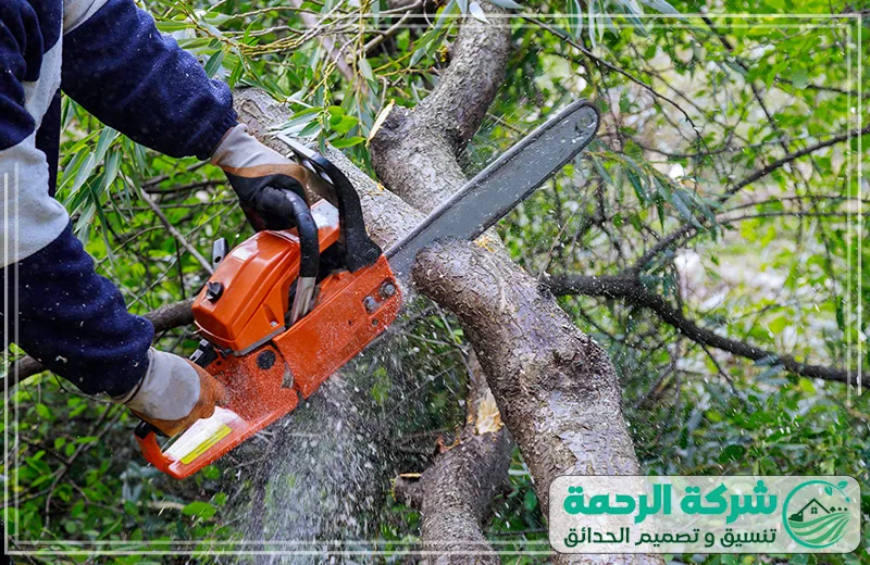 قص الأشجار بدون ضرر للنباتات بمكة 0559460943 الرحمة يقوم الفني بتقليم الأشجار بطريقة منظمة، ما يحافظ على الحديقة مرتبة وجذابة طوال العام.