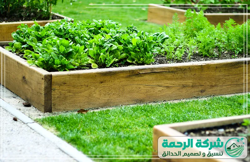 تنفيذ احواض زرع بمكة 0559460943 الرحمة يقوم الفني بإعداد أحواض زرع متكاملة، مع تنسيقها بطريقة تساعد على إبراز جمال النباتات.