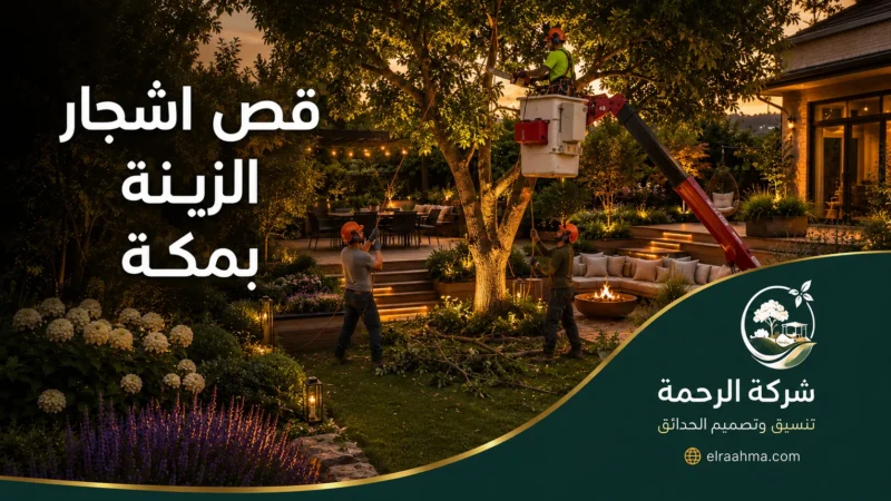 قص أشجار الزينة بمكة 0559460943 شركة الرحمة فريق ينفذ قص أشجار الزينة بمكة باستخدام رافعة للتحكم في الفروع وحماية محيط المنزل.