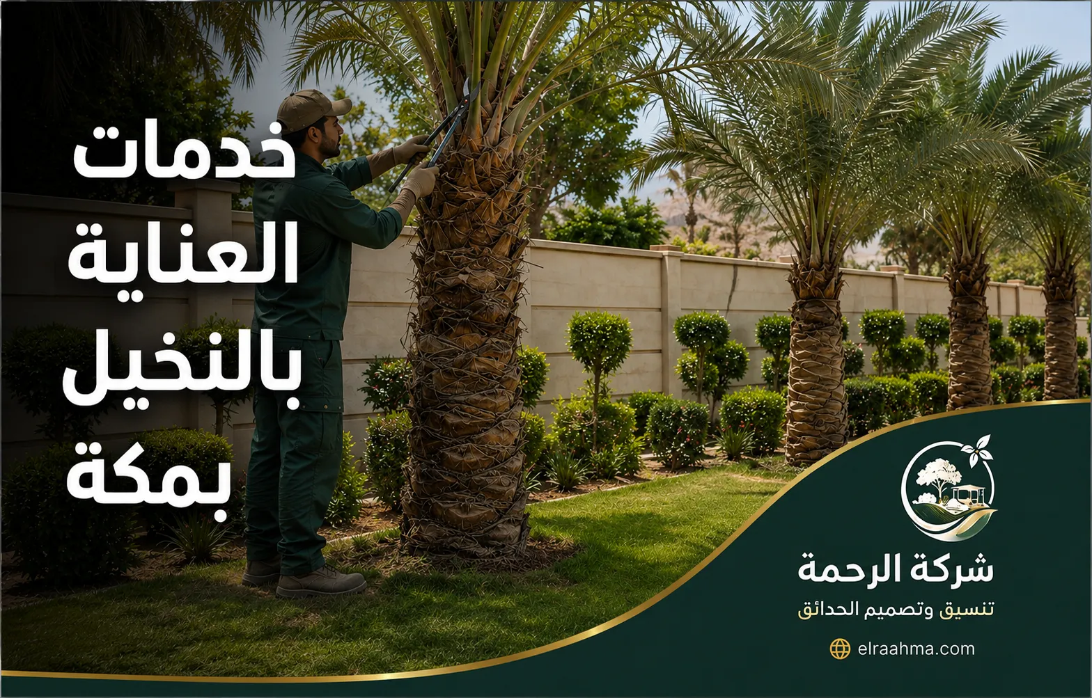 خدمات العناية بالنخيل بمكة | شركة الرحمة عامل ينفذ أعمال العناية بالنخيل من تقليم السعف وتنظيف قاعدة التاج في مكة