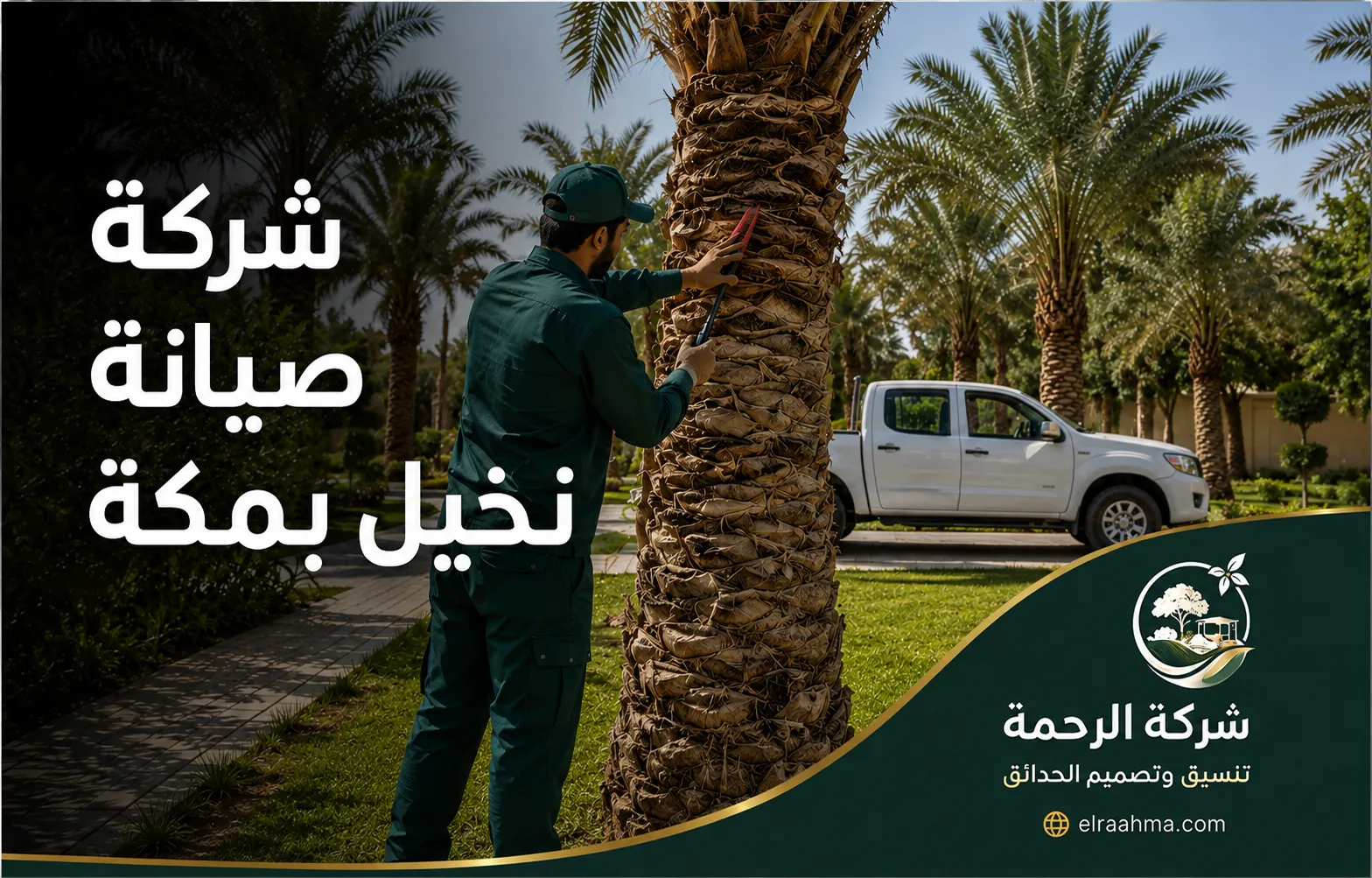 شركة صيانة نخيل بمكة | شركة الرحمة عامل يفحص وينظف جذع نخلة ضمن أعمال الصيانة الدورية للنخيل في مكة