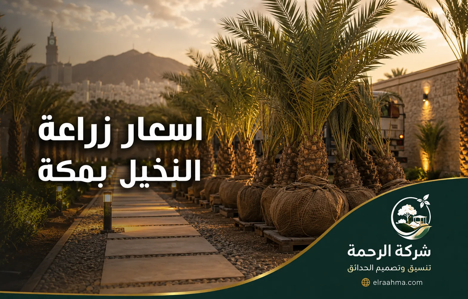أسعار زراعة النخيل بمكة | شركة الرحمة نخيل مجهز للزراعة داخل موقع تنسيق حدائق في مكة المكرمة