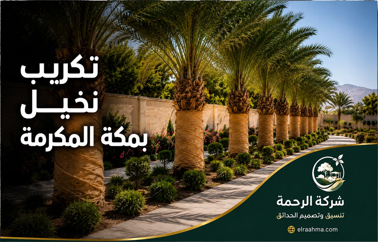 تكريب نخيل بمكة المكرمة | شركة الرحمة صف من أشجار النخيل بعد تكريب الجذوع وتنظيفها داخل حديقة منسقة بمكة